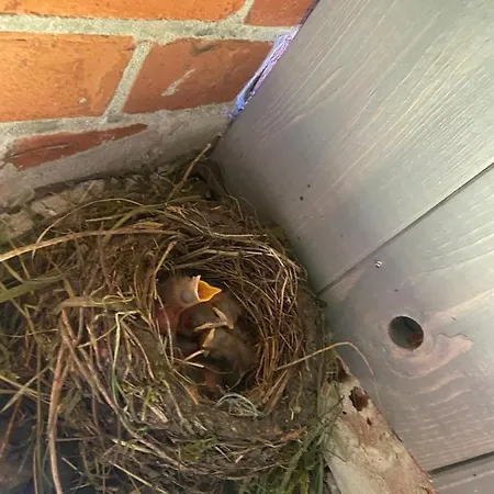 Lütte Uttiet Ferienhaus *